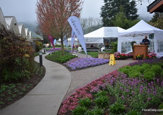 At Syngenta, there was a large presentation of the varieties in the marketing concept Thinkplant. This concept was established by Syngenta and Danziger in 2018 with the idea to be a 1 stop shop for the brokers and supermarkets in the US. The concept is received very well in the market and more and more breeders are joining Thinkplants.
